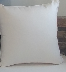 Throw Pillows (Covers Only - No Inserts)